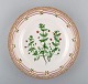 item no:
369743 item no:
369743