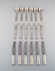 item no:
369764 item no:
369764