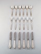 item no:
371989 item no:
371989