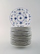 item no:
378973 item no:
378973