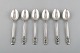 item no:
387959 item no:
387959