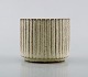 item no:
388749 item no:
388749
