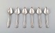 item no:
389476 item no:
389476