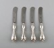 item no:
392025 item no:
392025