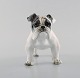 Rosenthal engelsk bulldog i håndmalet porcelæn. 1950