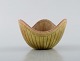 item no:
393210 item no:
393210