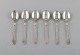 item no:
397321 item no:
397321