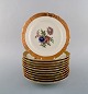 item no:
400957 item no:
400957