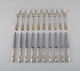 item no:
404674 item no:
404674