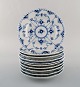 item no:
404713 item no:
404713