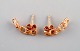 item no:
404720 item no:
404720