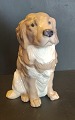 Royal Copenhagen Golden Retriever nr 5136