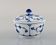 item no:
405701 item no:
405701