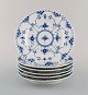item no:
419562 item no:
419562