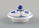 item no:
419564 item no:
419564