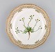 item no:
419570 item no:
419570