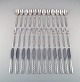 item no:
420565 item no:
420565