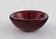 item no:
421110 item no:
421110