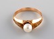 item no:
421845 item no:
421845