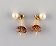 item no:
432347 item no:
432347