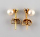 item no:
432348 item no:
432348