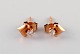 item no:
432350 item no:
432350