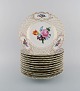 item no:
435207 item no:
435207