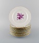 item no:
435225 item no:
435225