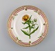 item no:
437190 item no:
437190