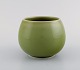 item no:
440067 item no:
440067