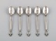 item no:
443468 item no:
443468