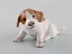 item no:
443472 item no:
443472
