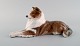 item no:
443476 item no:
443476