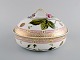 item no:
445990 item no:
445990