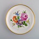 item no:
446858 item no:
446858
