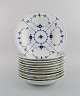 item no:
448324 item no:
448324