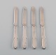 item no:
448331 item no:
448331
