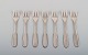 item no:
449608 item no:
449608