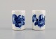 item no:
453438 item no:
453438