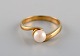 item no:
455473 item no:
455473