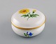 item no:
457314 item no:
457314