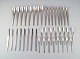 item no:
459149 item no:
459149