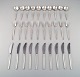 item no:
459722 item no:
459722