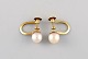 item no:
459774 item no:
459774