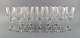 item no:
460460 item no:
460460