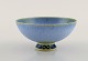 item no:
461202 item no:
461202