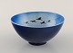 item no:
461203 item no:
461203
