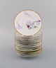 item no:
462223 item no:
462223