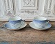 item no:
462947 item no:
462947