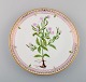 item no:
463029 item no:
463029